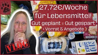 SPAREN extrem günstiger XXL Wocheneinkauf 2772€ 😱 viel VORRAT foodhaul budgetplanung vlog [upl. by Adnawuj]