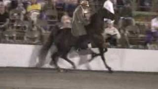 LIVE REPORT Dreadhead Cowboy rides horse on Dan Ryan Expressway [upl. by Pohsib]