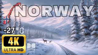 Norways Winter Drive Scenic Routes and Snowy Peaks Await 4K [upl. by Jade]