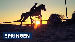 Nieuw paard voorstellen en springen met zonsondergang [upl. by Oakley977]