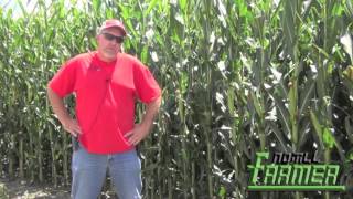 Advantages Of Twin Row Corn Soybeans [upl. by Ahsiekam]