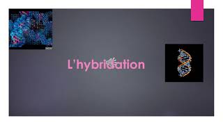 L hybridation بالدارجة  Français  علوم المادة بيولوجياعلوم و تكنولوجيا الطب [upl. by Jeritah]