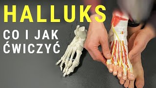 HALLUKSHALUKS  jakie ćwiczenia na paluch koślawy  dr n med Marcin Wytrążek [upl. by Yrailih777]