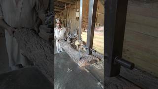 Sawing Lumber woodcutting sawmill woodworking shorts youtubeshorts [upl. by Asilrak]