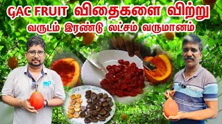 Gac Fruit விதைகளை விற்று வருடம் இரண்டு லட்சம் வருமானம்  Gas Fruit  Country Farmss [upl. by Nnylannej]