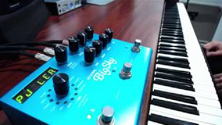 Strymon BigSky Audio Examples [upl. by Hannavas791]