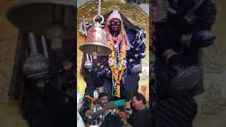 virar East kargil nagar kali mata mandir [upl. by Aihseuqal]