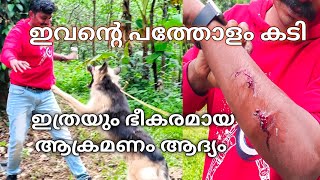 അപകടകാരിയായ യൂറോപ്പിയൻ ഷെഫെർഡ്european shepherd Leash Talks [upl. by Kolnos151]