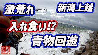 【新潟上越】大荒れの海に派手な色のジグを投げたら入れ食いに！イナダで寿司ケーキ [upl. by Toms]