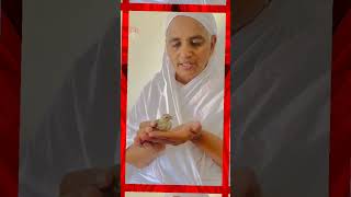 deeksha divas jain song status vigya shree mataji viral youtube shortsvideo [upl. by Anat]