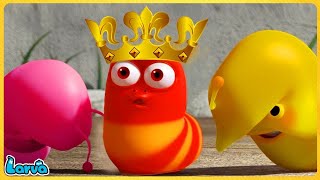 LARVA COCOON  Larva Season 1 Episode 19  Larva Cartoons 2022  Cartoon Comedy Video 2023 [upl. by Weathers391]