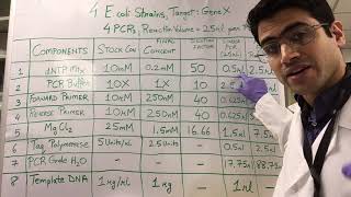 How To PCR Calculations [upl. by Hanway]