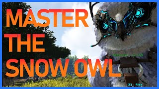 Ultimate Snow owl guide how to tame and use PVP Ark 2023 [upl. by Gilles]