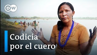 Cuero ilegal  Cómo la industria automotriz amenaza la selva tropical  DW Documental [upl. by Assener]