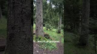 Une des nuits les plus flippantes dans une cabane en pleine forêt forêt cabane montagne peur [upl. by Niklaus]