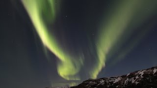 AURORA BOREALIS  Polarlichter über Island c Falk Sischka [upl. by Eart805]