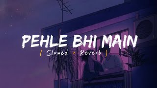 Pehle Bhi Main Slowed  Reverb  Vishal Mishra  Animal [upl. by Anivek368]