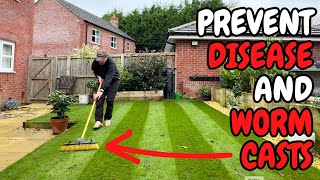 This One Thing will Help Prevent DISEASE and WORM CASTS in Your Lawn [upl. by Sirad801]