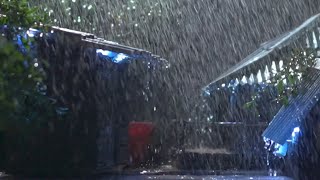 🔴 Heavy Rain on a Tin Roof for Sleeping 247 Sleep Instantly with Rain Sounds amp Thunder at Night [upl. by Goldin]