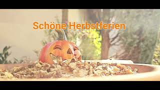 Schöne Herbstferien [upl. by Arorua]