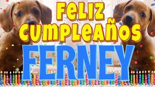 ¡Feliz cumpleaños Ferney Perros hablando gracioso ¡Muchas felicidades Ferney [upl. by Naoma]