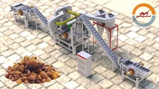 Automatic raisin destoner machine auto raisins preprocessing line [upl. by Miah153]