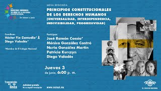 Principios constitucionales de los derechos humanos [upl. by Siffre550]