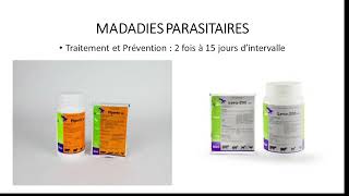 17 PARASITES INTERNES ET EXTERNES DU MONDAIN [upl. by Brey]