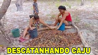 Ajudando a sogra a juntar descatanhar o caju e castanha mimietoquinho [upl. by Neale]