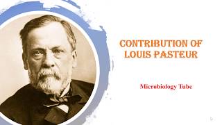 Contribution of Louis Pasteur [upl. by Argile]