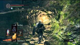 Dark Souls  Forest Soul Farming  HD  Easy Method [upl. by Ibrad]