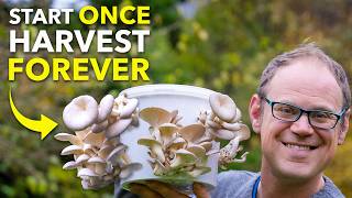 How To Grow Mushrooms in a Bucket [upl. by Drislane]