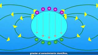 20 El magnetismo de la Tierra [upl. by Nailimixam148]