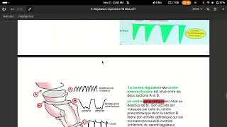 physiologie respiratoire centre respiratoire [upl. by Parrott847]