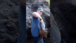 Man Finds THOUSANDS Of Ice Age Bones Stuck In Mud boneyard [upl. by Weikert]