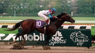 Cigar  1995 Breeders Cup Classic  Post Race amp Interviews [upl. by Ezar458]