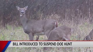 Bill introduced to suspend antlerless deer hunt in Northern Wisconsin [upl. by Tihom]