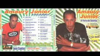 Cd Completo Amaury Junior Vol 10 [upl. by Caprice]