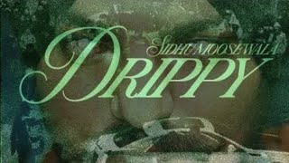 Drippy Official Video  Sidhu MooseWala  Mxrci  AR Paisley [upl. by Cychosz284]