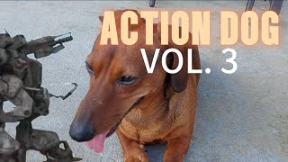 ACTION DOG Volume 3 [upl. by Idona]