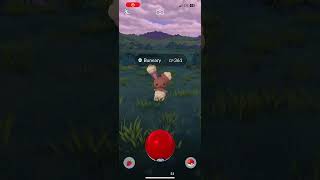 Buneary does not my problem dance pokemon pokemongo funnymemes gaminggamingvideos notmyproblem [upl. by Bord204]