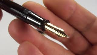 WATERMANS CHAMPION 501 FOUNTAIN PEN [upl. by Milks]