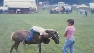 1976  Bicentennial  Wagon Train and Parade West Newton PA [upl. by Cruz]