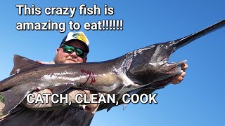 Bowfishing PADDLEFISH Catch Clean Cook on the Missouri River in Nebraska and South Dakota tacos [upl. by Pergrim]