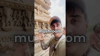 Searching for the sacred mushroom of India [upl. by Tutankhamen]