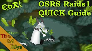 OSRS Quick Chambers of Xeric Guide  Learn Raids 1 Quick CoX Guide [upl. by Tomkin]