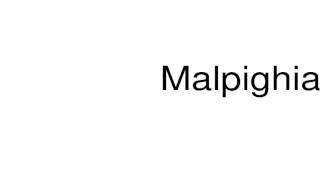 How to pronounce Malpighian [upl. by Beaufort]