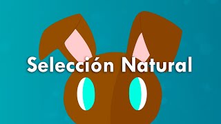 EXPLICACIÓN RÁPIDA y FÁCIL de la SELECCIÓN NATURAL [upl. by Eniamirt]