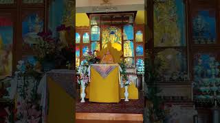 Gyuto Tantric Monastery Temple in Dharmshala  Buddhist Temple calm view shortvideo nature [upl. by Inneg36]