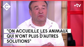 Les restos du coeur pour animaux  Patrick Violas  C à Vous  10042023 [upl. by Damek]